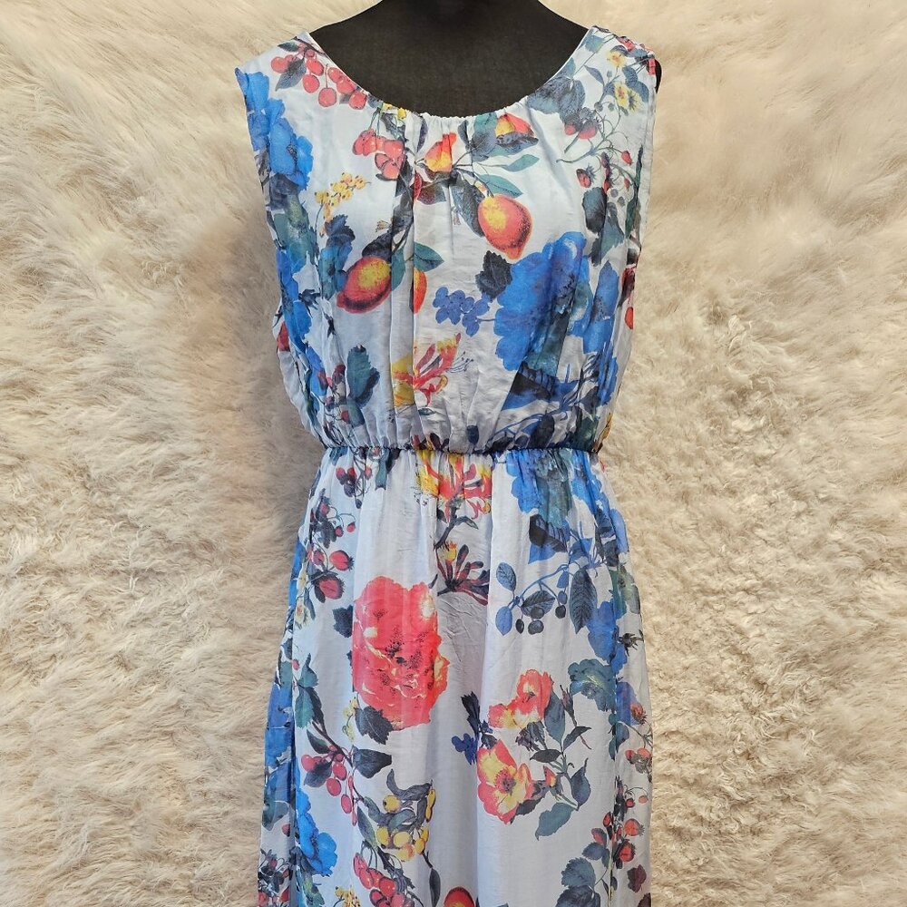 Bella Umbra Women's Silk Blend Floral Print Sleevesless Maxi Dress Size L